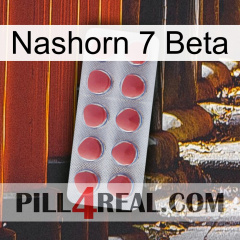 Rhino 7 Beta 18